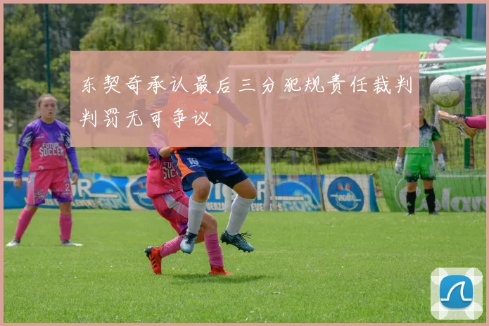 东契奇承认最后三分犯规责任裁判判罚无可争议