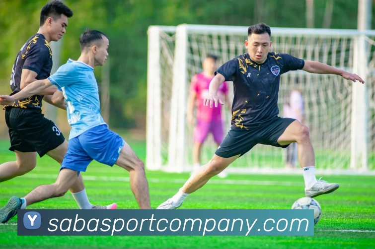 沙巴足球官网平台生态图